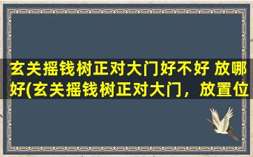 玄关摇钱树正对大门好不好 放哪好(玄关摇钱树正对大门，放置位置及摆放注意事项！)